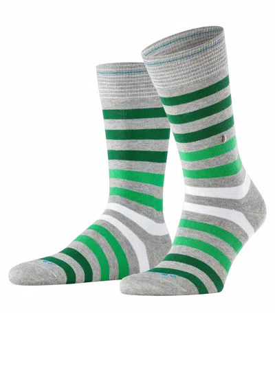 Burlington Blackpool In Multi