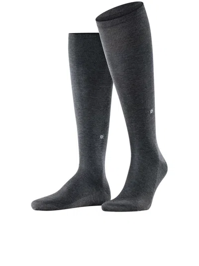 Burlington Cardiff Gambaletti In Gray