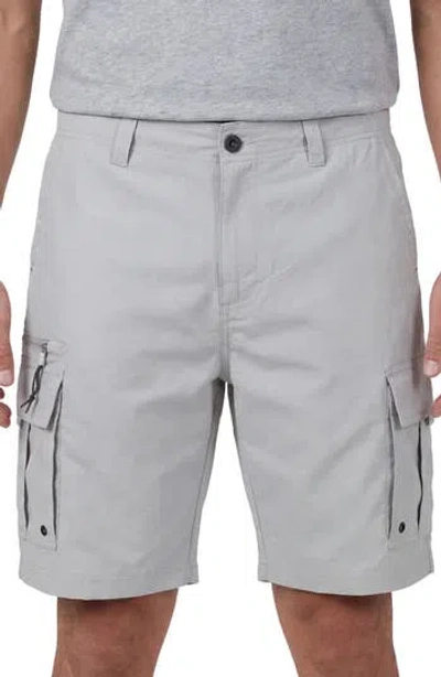 Burnside Cargo Shorts In Gray