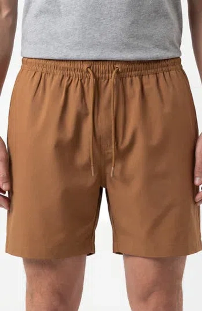 Burnside Hybrid Stretch Shorts In Neutral