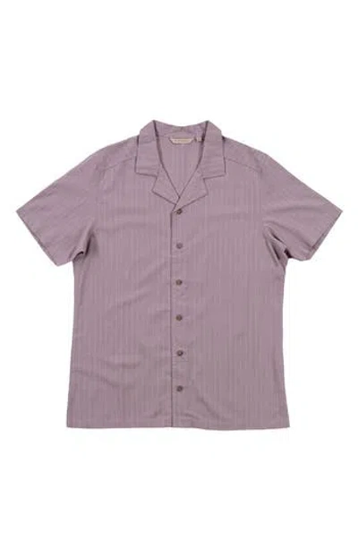 Burnside Stripe Linen & Cotton Blend Camp Shirt In Purple