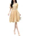 Burryco Mini Dress In Yellow