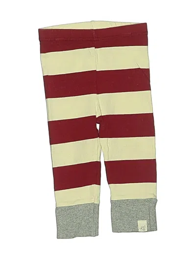 Pre-owned Burt's Bees Baby Babies' Leggings In Burgundy