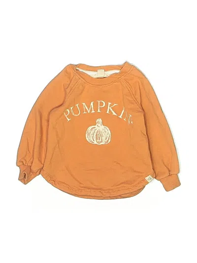 Pre-owned Burt's Bees Baby Babies' Long Sleeve Onesie In Orange