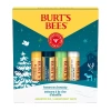 Burt's Bees Beeswax Bounty Assorted Gift In Transparent