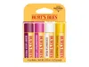 Burt's Bees Tropical Lip Balm Set 4 Pack In Multi