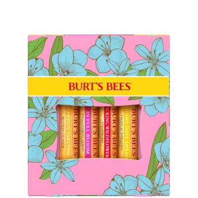 Burt's Bees In Full Bloom Lip Balm Gift Set