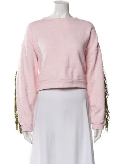 Pre-owned Buru Crew Neck Long Sleeve Crop Top In Pink
