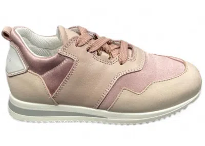Pre-owned Buscemi Ventura Rosa Sneakers In Pink