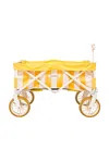 Business & Pleasure Folding Beach Cart