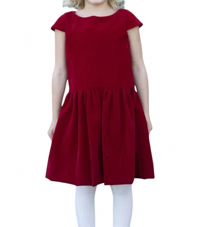 Busy Bees Alexa Dropwaist Party Dress In Red Velveteen