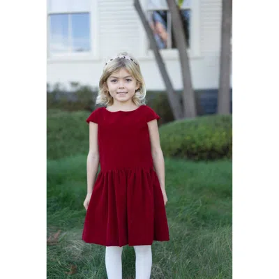 Busy Bees Kids'  Alexa Dropwaist Party Dress In Red Velvet