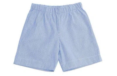 Busy Bees Kids'  Jd Pull-on Shorts In Navy Seersucker Stripe