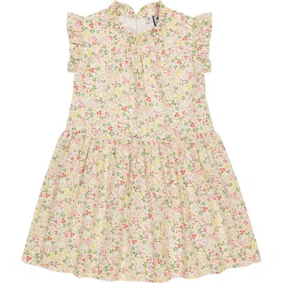 Busy Bees Kids'  Kinsley Dropwaist Dress In Flora