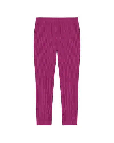 Busy Bees Legging In Purple