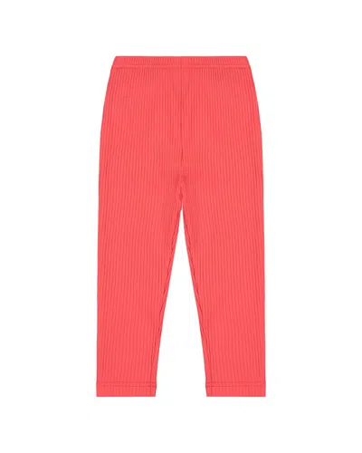 Busy Bees Kids' Legging In Red