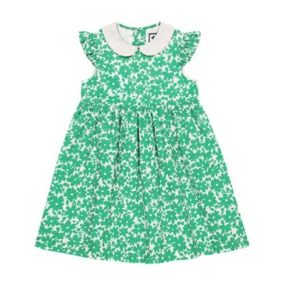 Busy Bees Kids'  Riley Peter Pan Collar Dress In Green Poppy