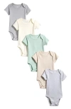 Butterblu Babies'  Avery Assorted 5-pack Bodysuits In Multi