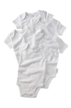 Butterblu Avery Assorted 5-pack Bodysuits In White