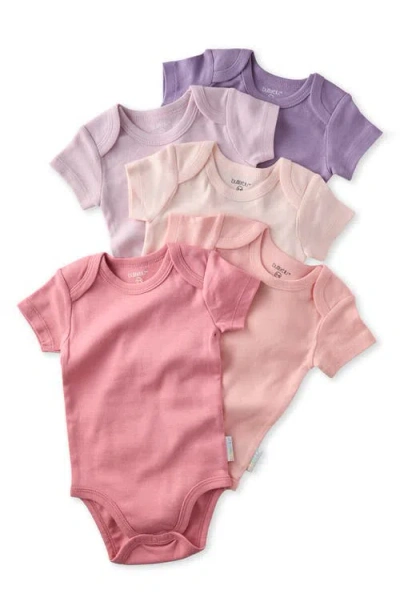 Butterblu Babies'  Avery Assorted 5-pack Organic Cotton Bodysuits In Pink