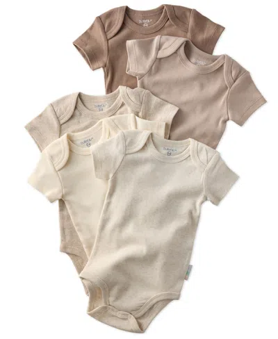 Butterblu Baby 5-piece Short Sleeve Bodysuits In Multi