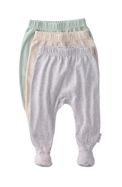 Butterblu Babies'  Fallon Footed Organic Cotton Assorted 3-pack Pants In Multi