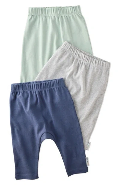 Butterblu Babies'  Harlowe Organic Cotton Assorted 3-pack Harem Pants In Gray