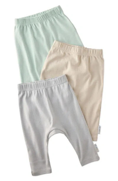 Butterblu Babies'  Harlowe Organic Cotton Assorted 3-pack Harem Pants In Multi