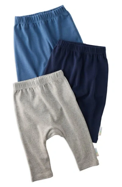 Butterblu Babies'  Harlowe Organic Cotton Assorted 3-pack Harem Pants In Blue