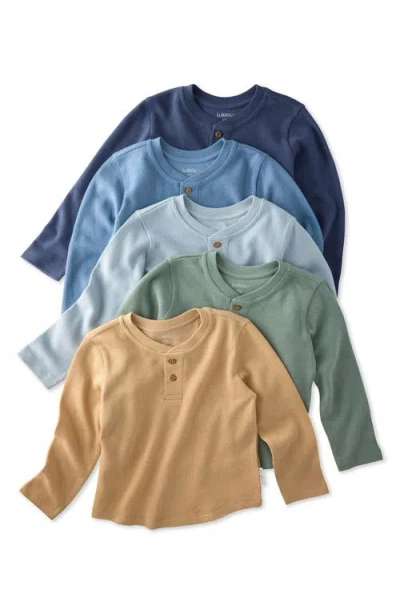 Butterblu Babies'  Kids' Payton Assorted 5-pack Long Sleeve Organic Cotton Waffle Henley T-shirts In Blue