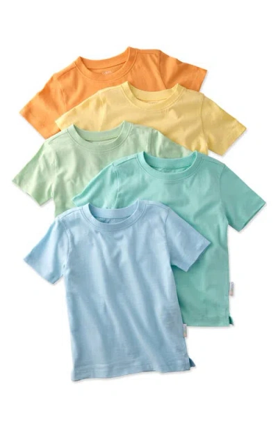 Butterblu Babies'  Kids' Taylor Short Sleeve Organic Cotton Assorted 5-pack T-shirts In Multi