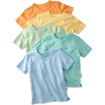 Butterblu Babies'  Taylor Assorted 5-pack Organic Cotton T-shirts In Multi