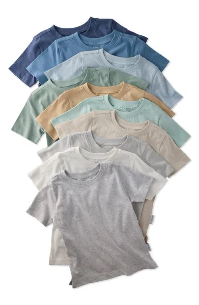 Butterblu Babies'  Taylor Organic Cotton T-shirt In Multi