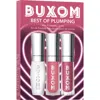 Buxom Best Of Plumping Mini Plumping Lip Kit $45 Value In No Color