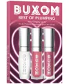 Buxom Cosmetics 3-pc. Best Of Plumping Lip Gloss Set In No Color