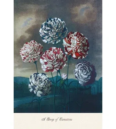 Buyenlarge A Group Of Carnations Painting Print In Green;pink