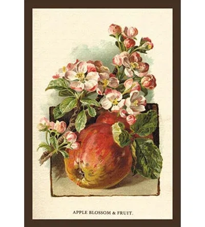 Buyenlarge 'apple Blossom And Fruit' By W.h.j. Boot Painting Print In Green;red;pink