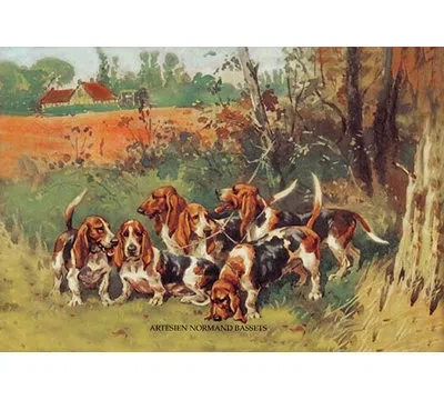 Buyenlarge Artesien Normand Bassets By Baron Karl Reille Painting Print In Brown;green