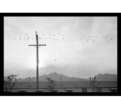 Buyenlarge Birds On Wire By Ansel Adams - Unframed Photograph Print In Black;white