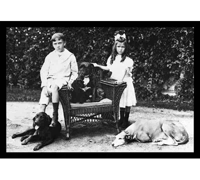 Buyenlarge 'boy And Girl With Their Four Dogs' Photographic Print In Black;white