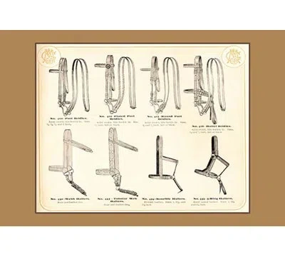 Buyenlarge 'bridles And Halters' Graphic Art In Gray;beige