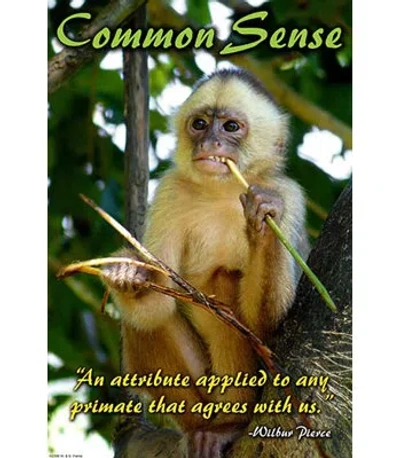 Buyenlarge Common Sense - Advertisements Print In Green;yellow