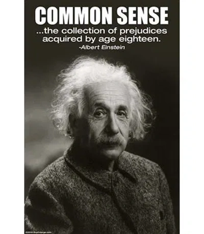 Buyenlarge 'common Sense' Graphic Art In White;gray