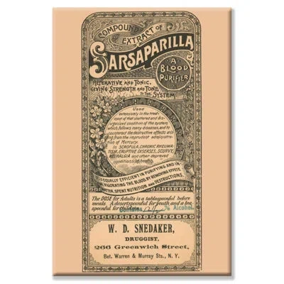 Buyenlarge Compound Of Sarsaparilla Textual Art On Wrapped Canvas In Black;beige