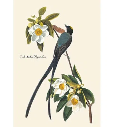 Buyenlarge Fork Tailed Flycatcher By John James Audubon Graphic Art In Green;gray;beige