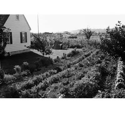 Buyenlarge 'homestead Project'  Photographic Print In Black;white