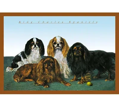 Buyenlarge King Charles Spaniels Framed Painting Print In Black;brown;green