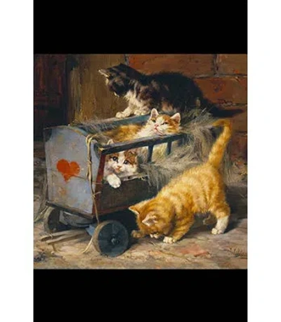 Buyenlarge 'kitten Carriage' By Julius Adam Graphic Art In Brown;yellow