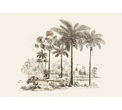 Buyenlarge Palm Trees By Baron De Montalemert Graphic Art In Black;beige