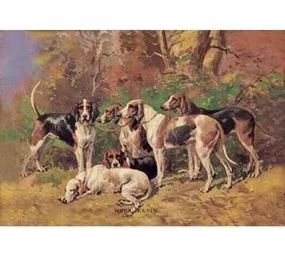 Buyenlarge Poitou Hounds By Baron Karl Reille Painting Print In Brown;beige